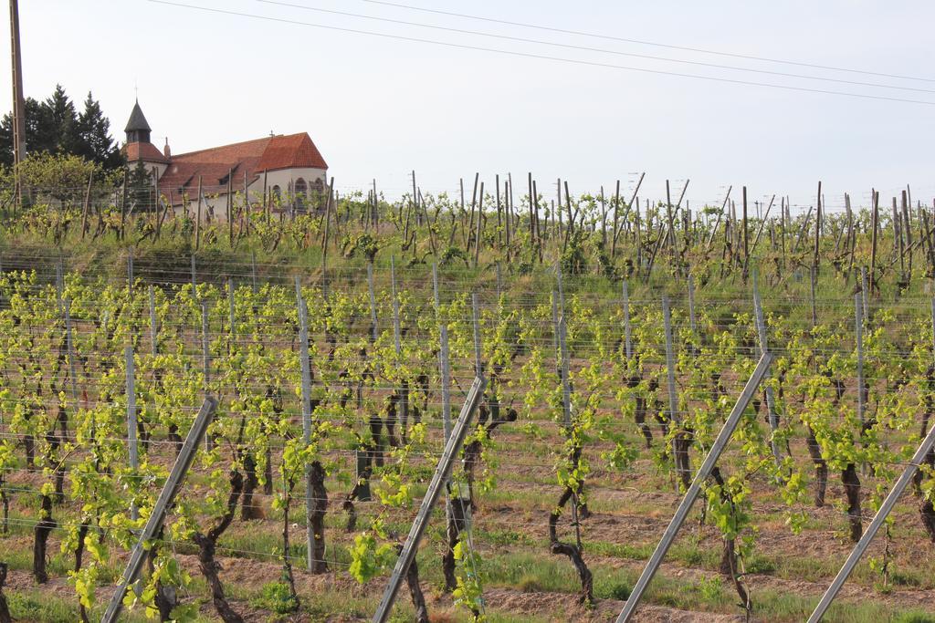 Dambach Gite De L'Ours Grognon מראה חיצוני תמונה